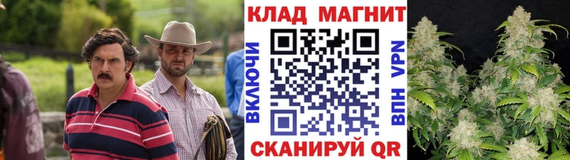 Виды наркотиков купить Далматово ГАШ  Кокаин  СК  АМФ  Меф 